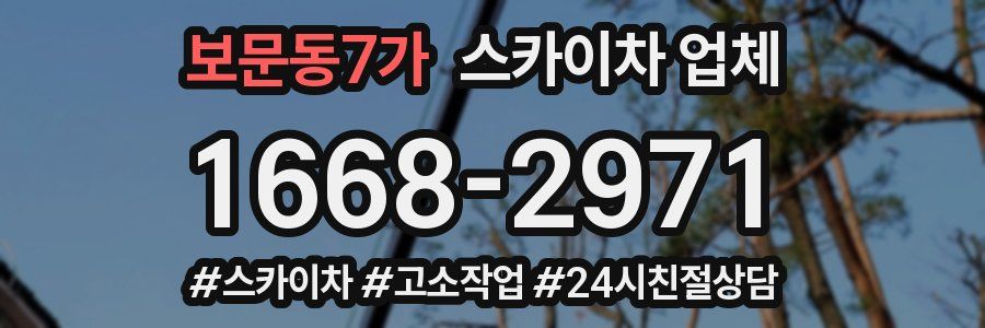 보문동7가 스카이차 업체