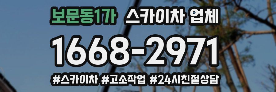 보문동1가 스카이차 업체