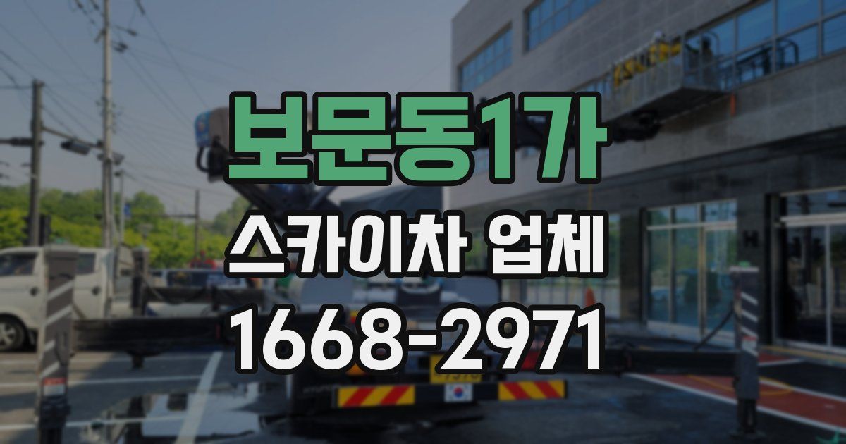 보문동1가 스카이차 업체
