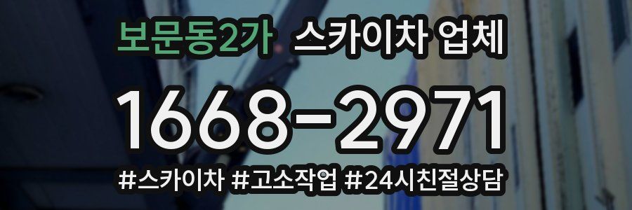 보문동2가 스카이차 업체