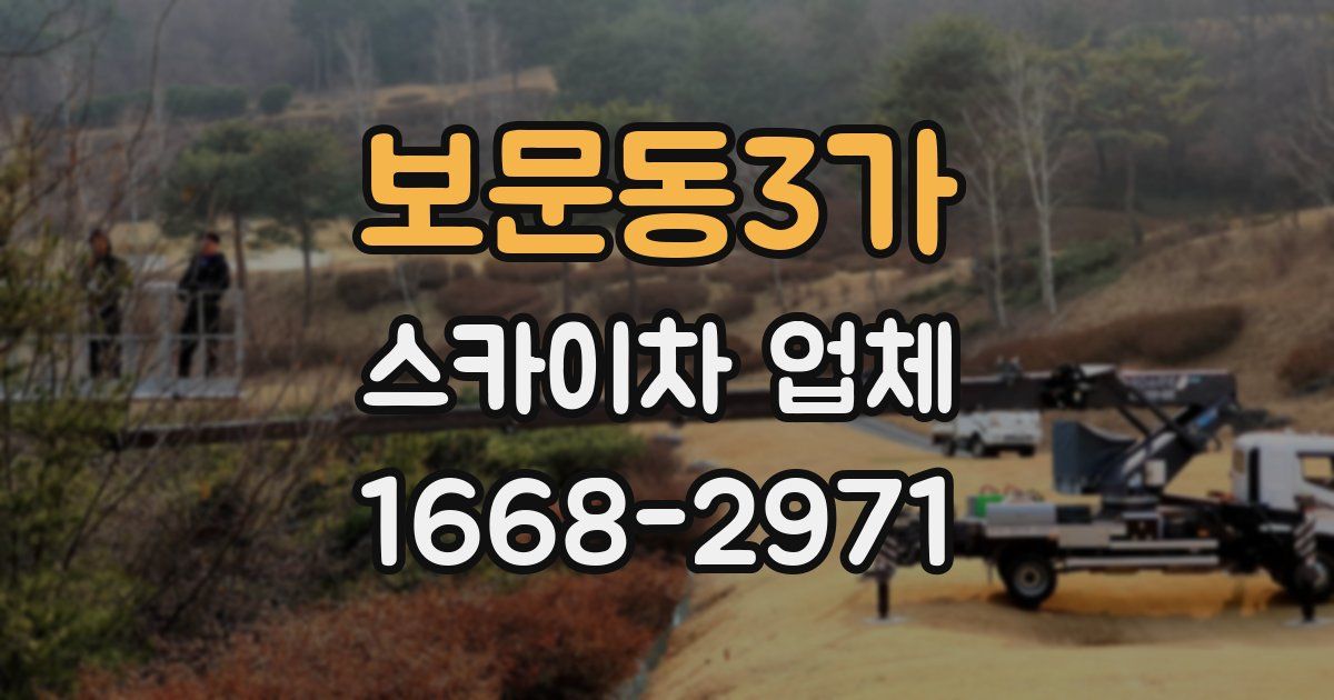 보문동3가 스카이차 업체