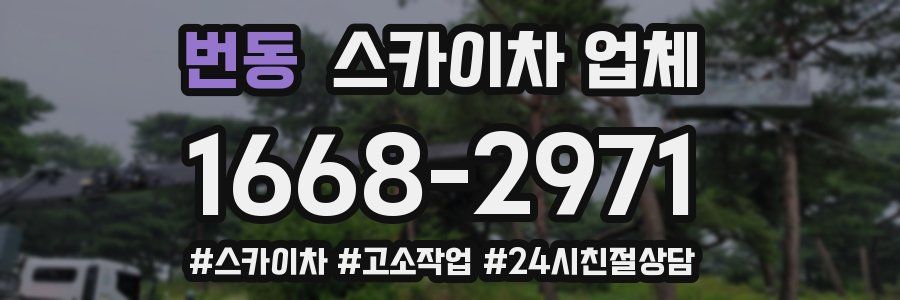 번동 스카이차 업체