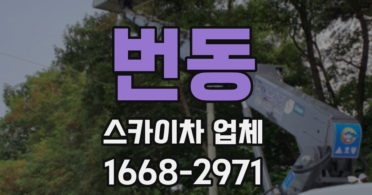 번동 스카이차 업체