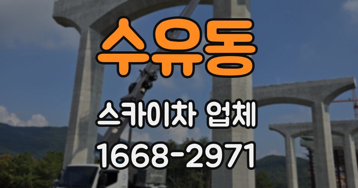 수유동 스카이차 업체