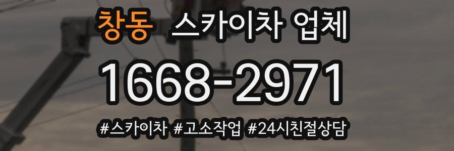 창동 스카이차 업체