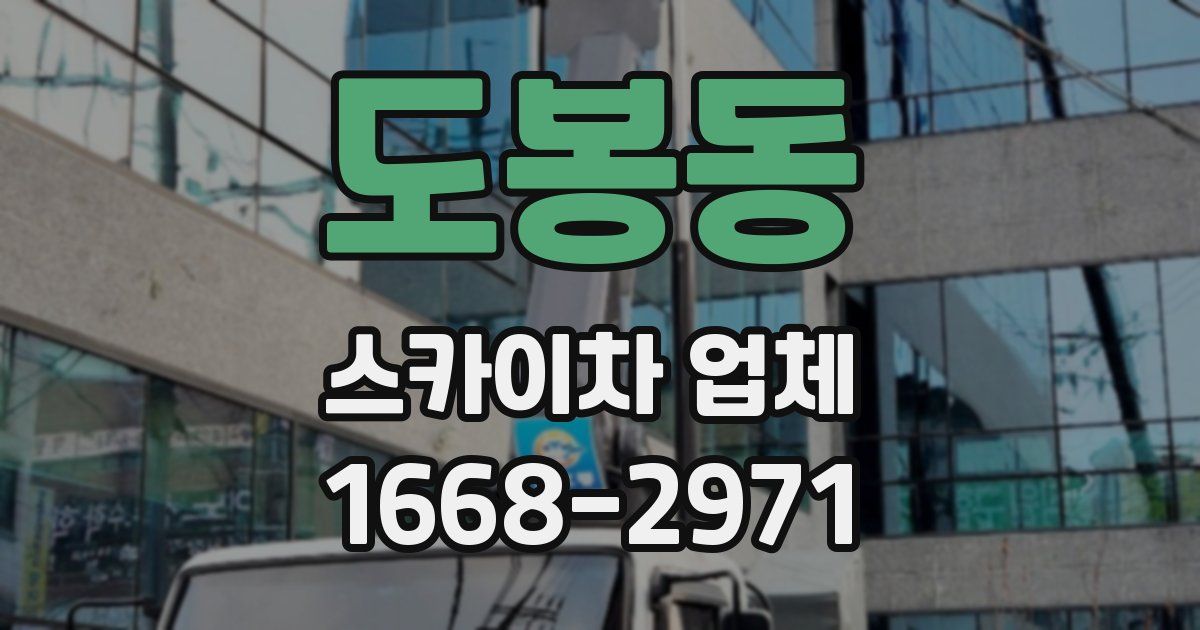 도봉동 스카이차 업체