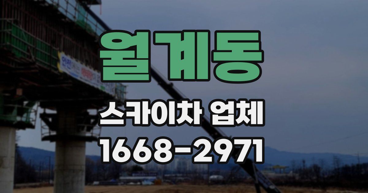 월계동 스카이차 업체