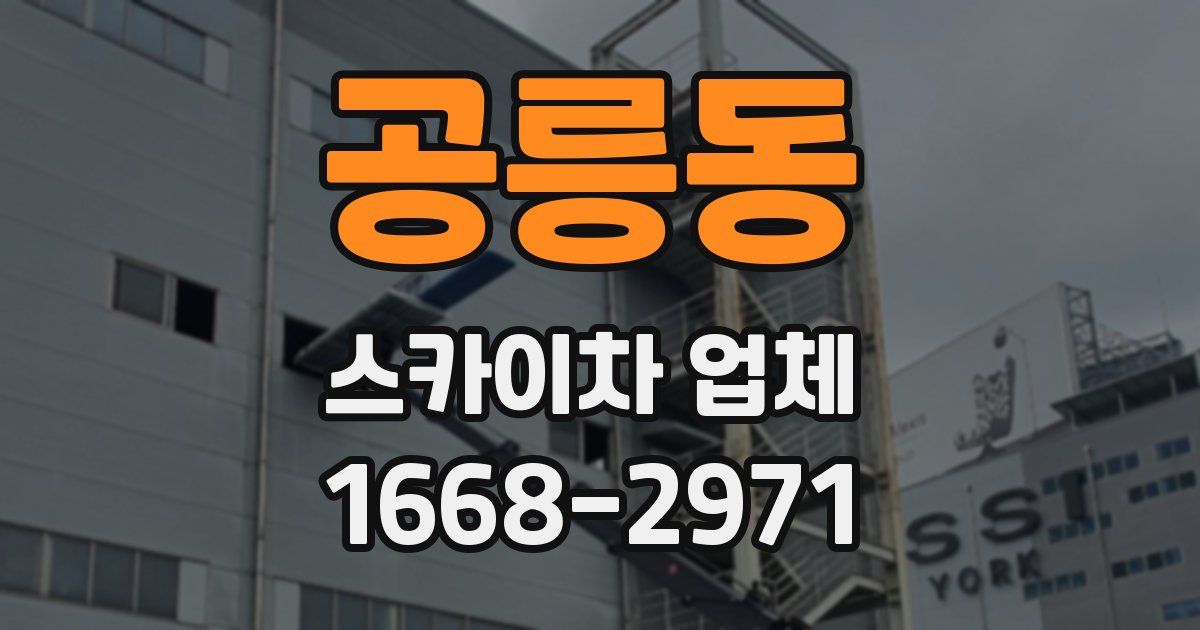 공릉동 스카이차 업체