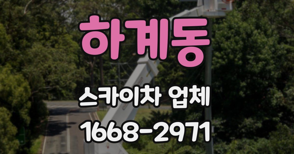 하계동 스카이차 업체