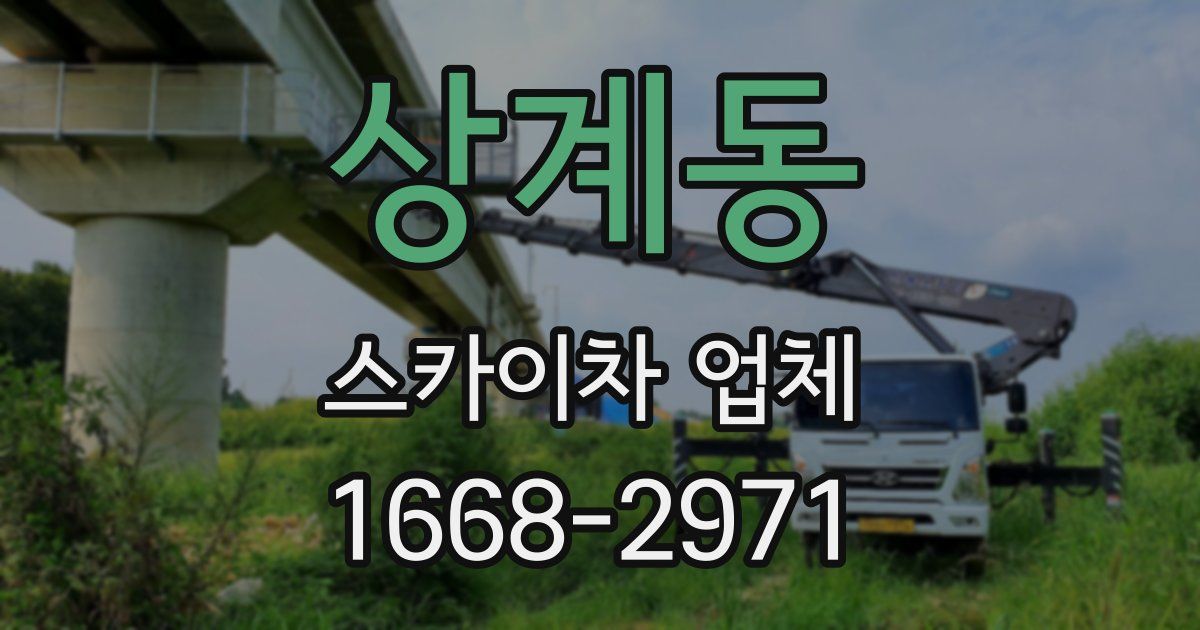 상계동 스카이차 업체
