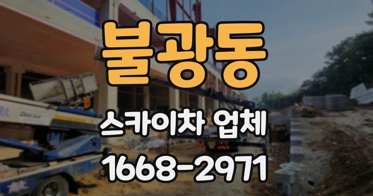 불광동 스카이차 업체