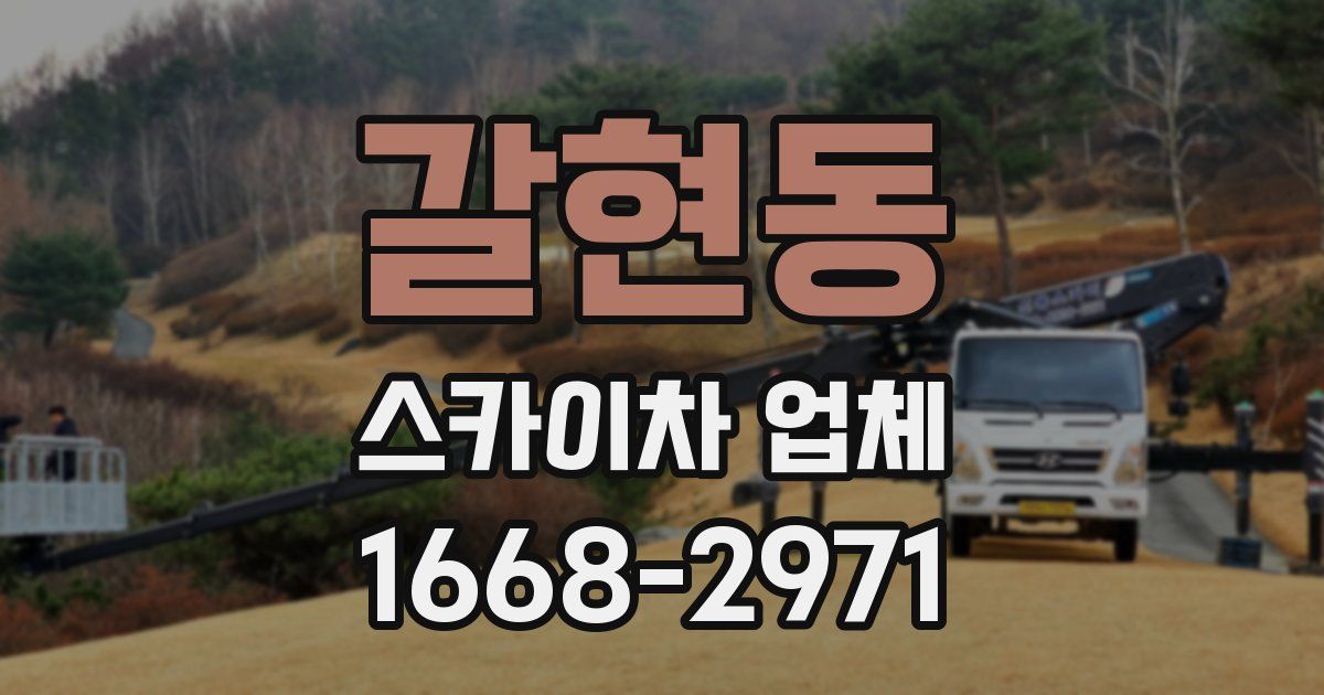 갈현동 스카이차 업체