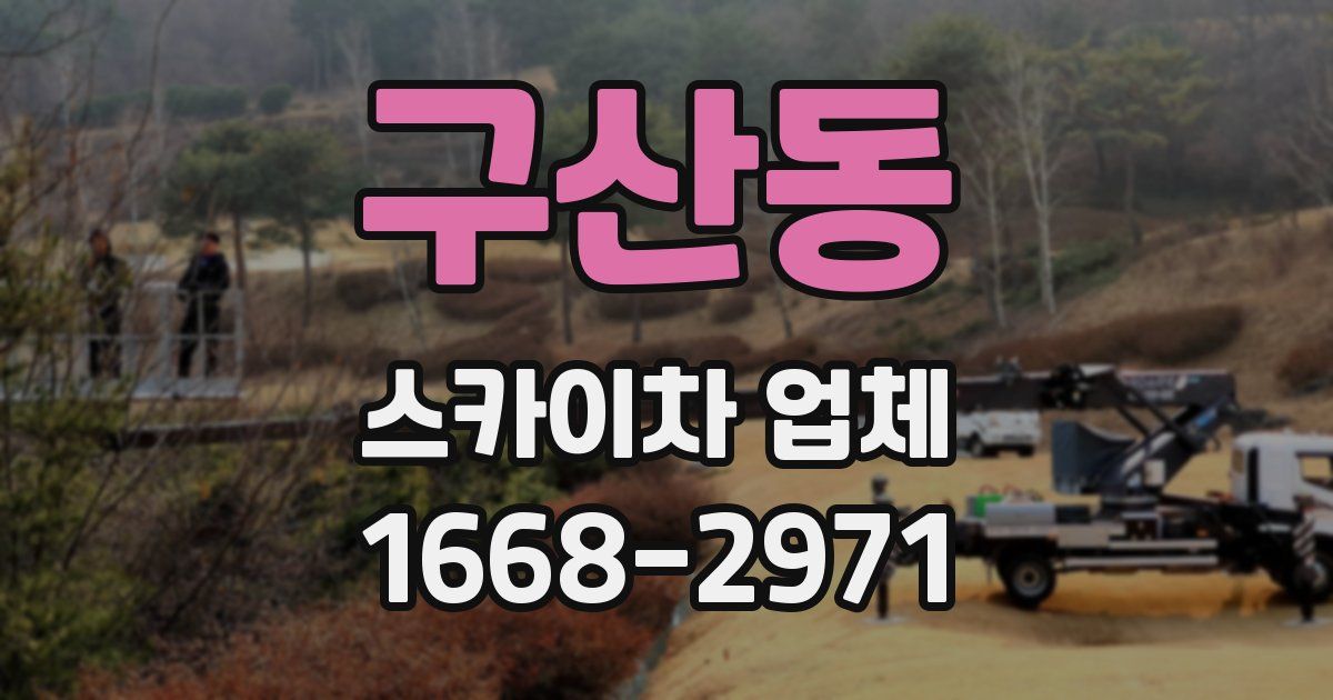 구산동 스카이차 업체