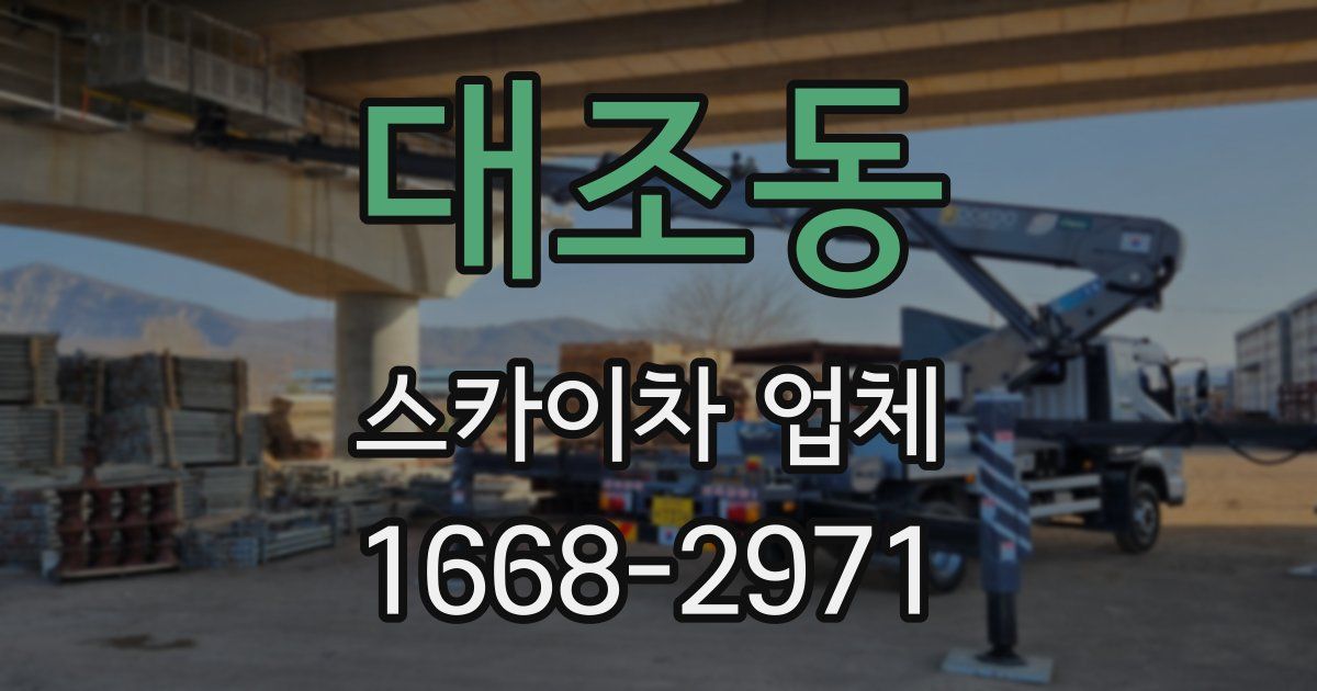 대조동 스카이차 업체
