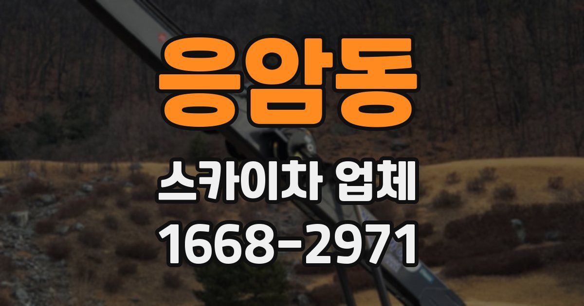 응암동 스카이차 업체