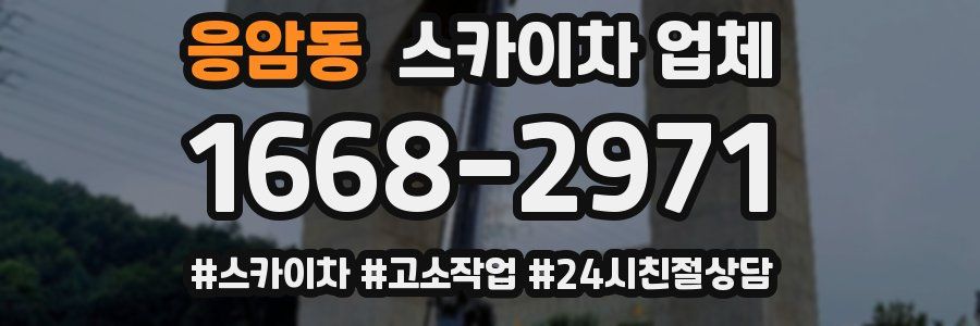 응암동 스카이차 업체