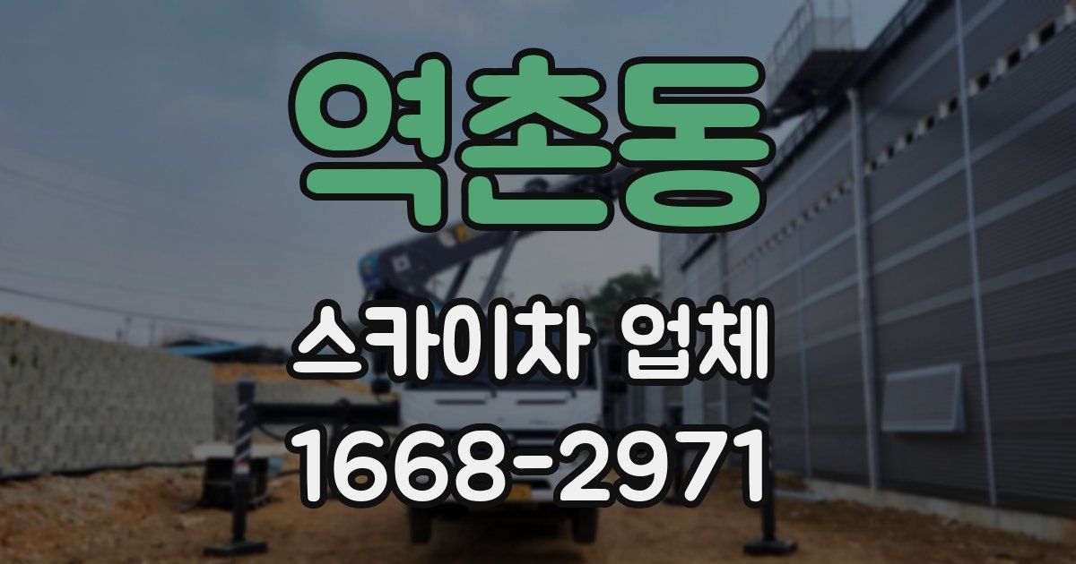 역촌동 스카이차 업체