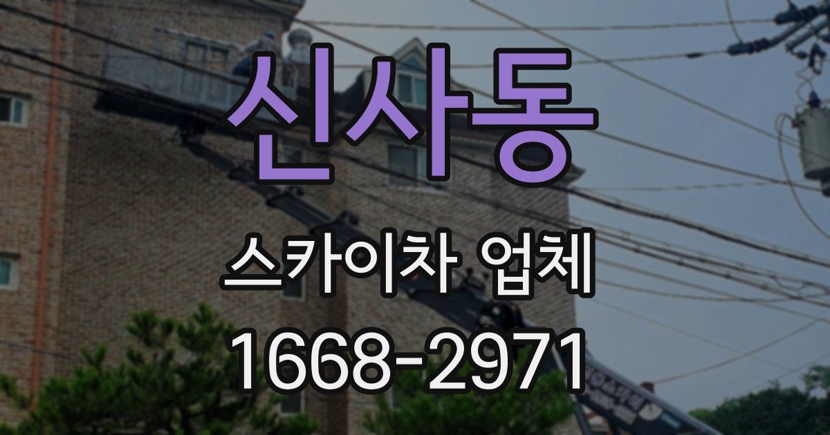 신사동 스카이차 업체
