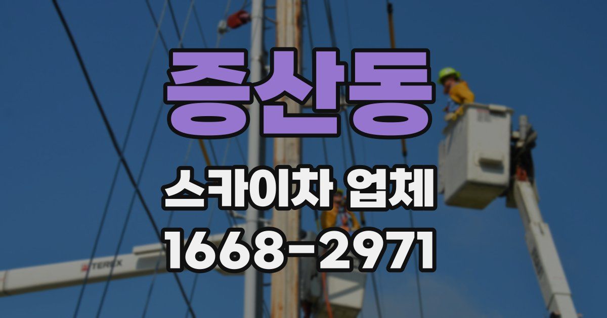 증산동 스카이차 업체