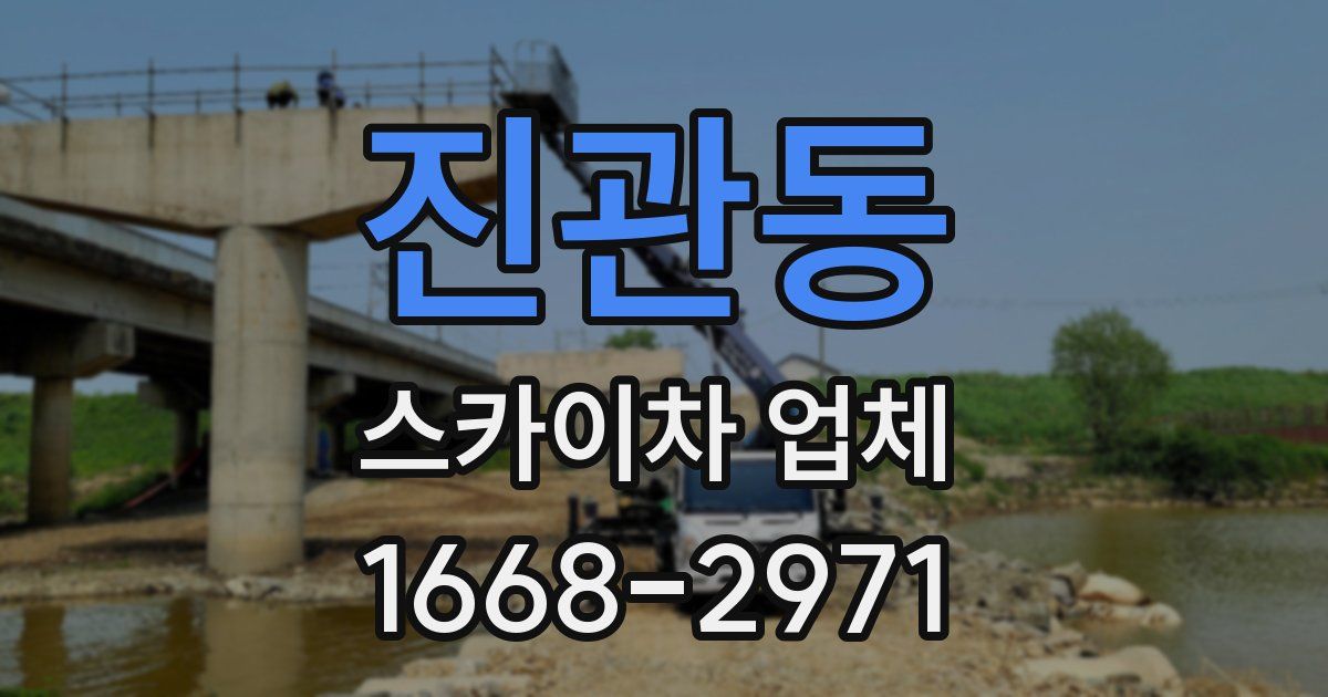 진관동 스카이차 업체