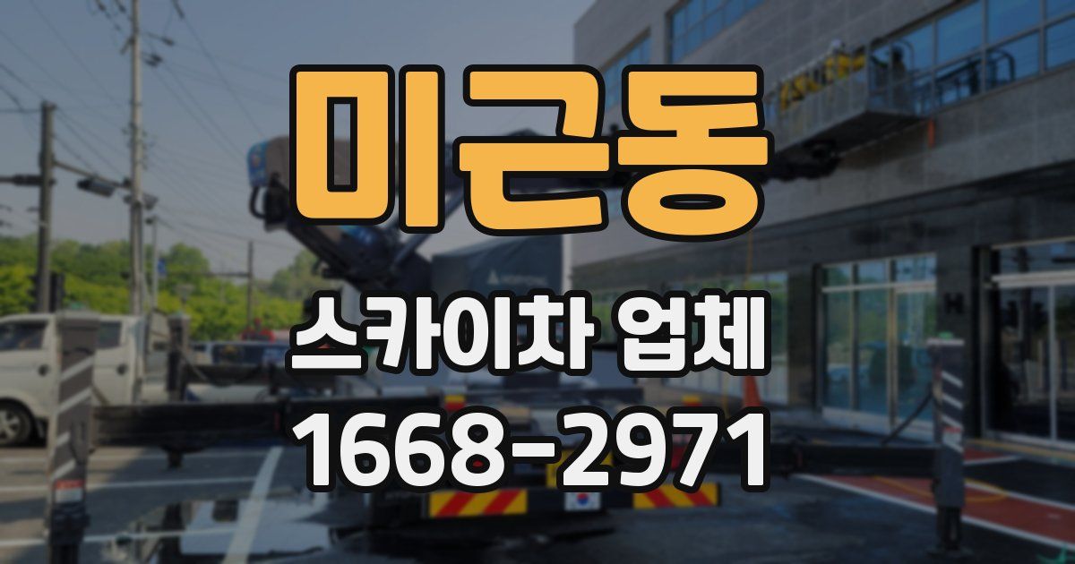 미근동 스카이차 업체