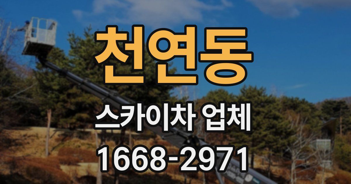 천연동 스카이차 업체