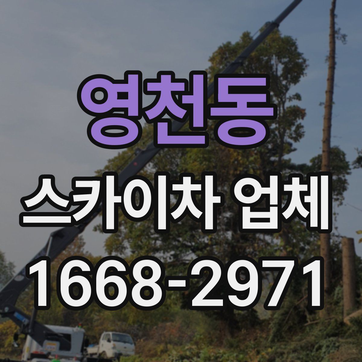 영천동 스카이차 업체
