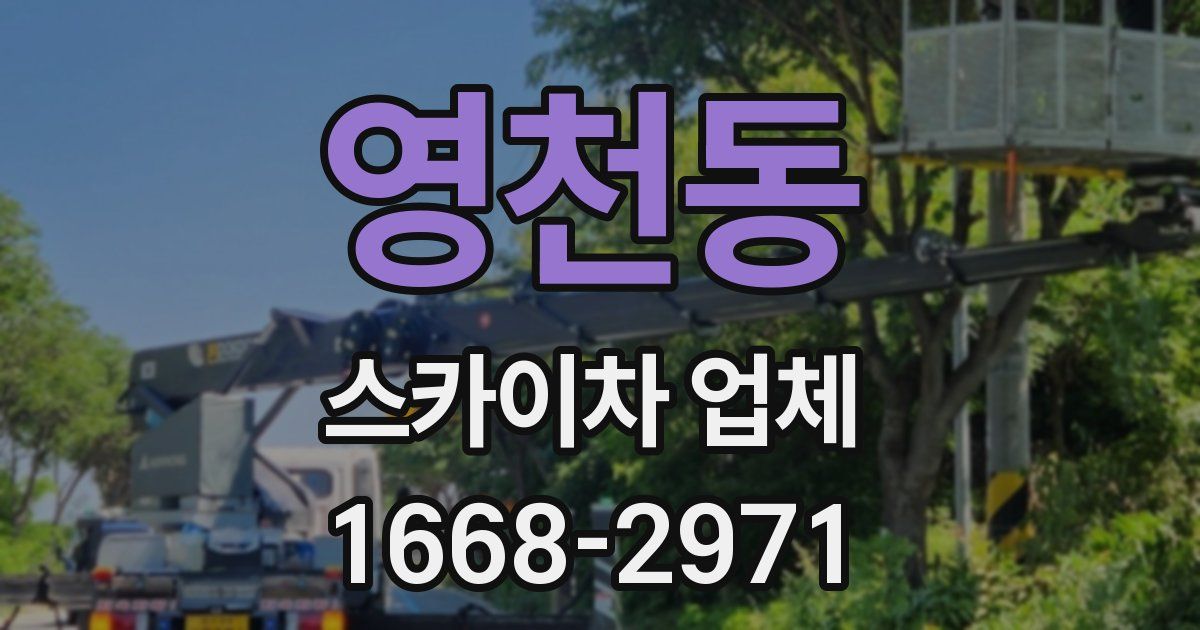 영천동 스카이차 업체
