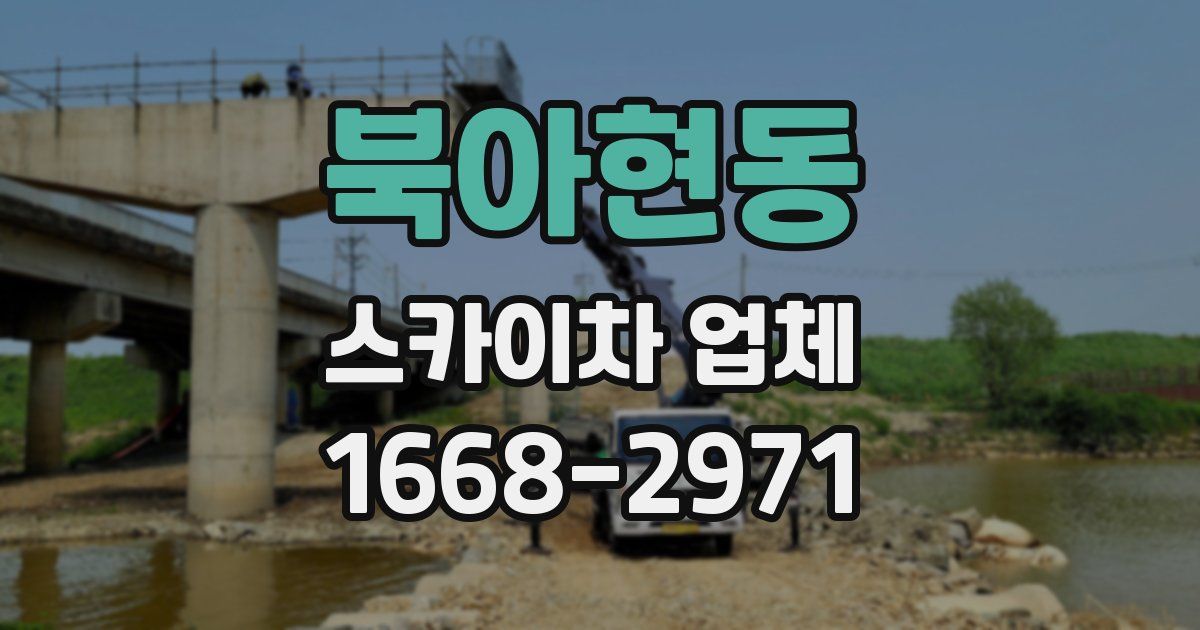 북아현동 스카이차 업체