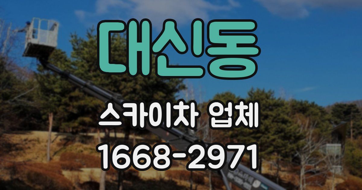 대신동 스카이차 업체