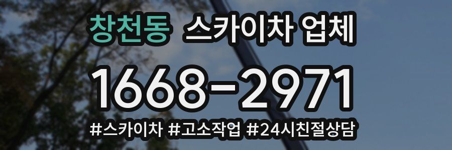 창천동 스카이차 업체