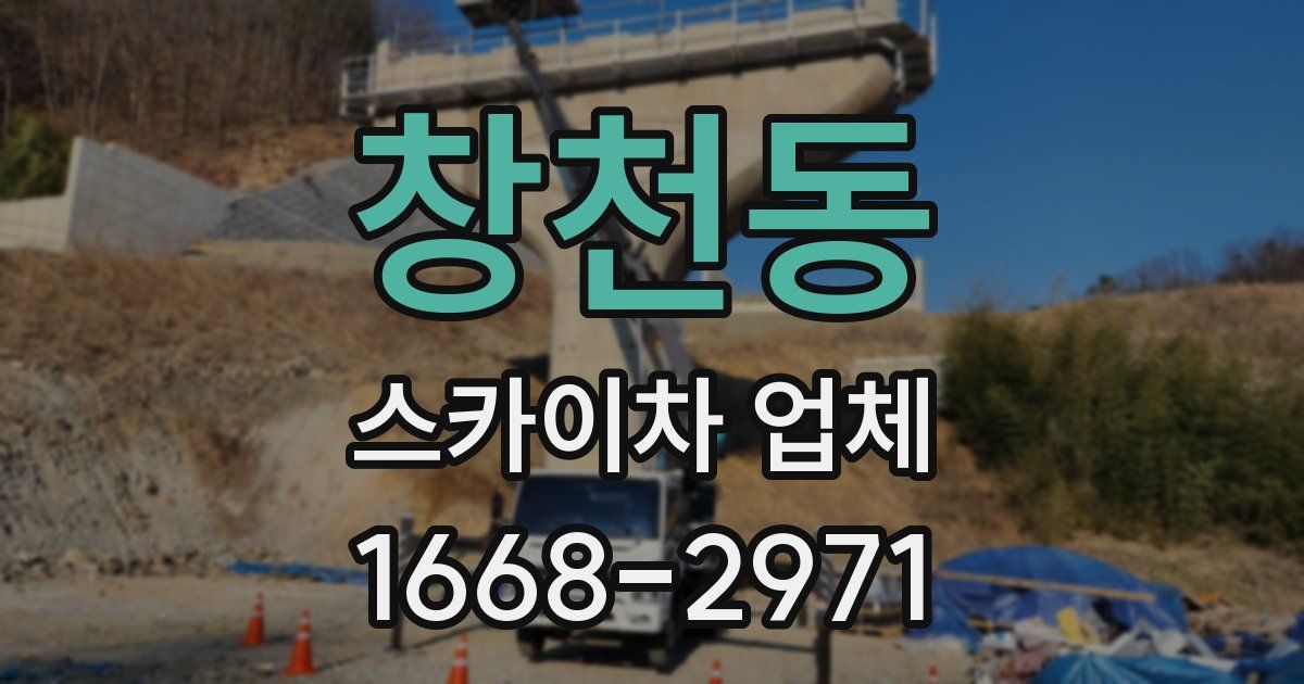 창천동 스카이차 업체