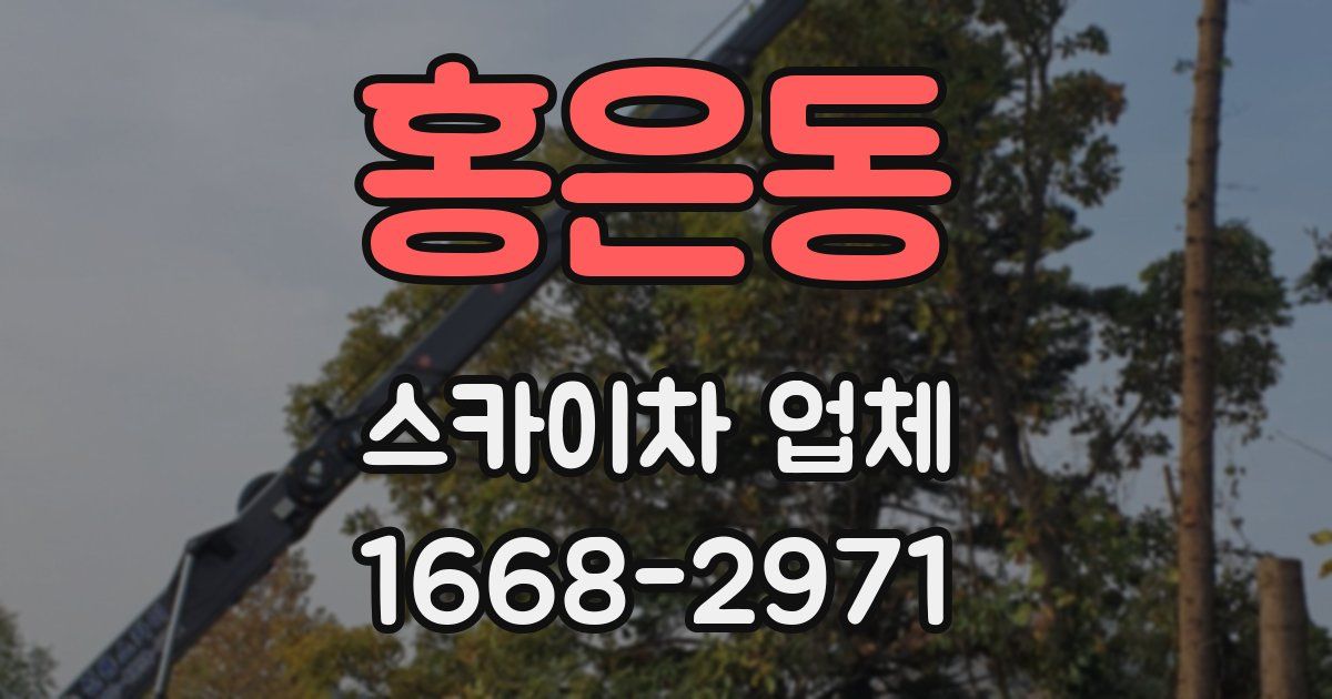 홍은동 스카이차 업체
