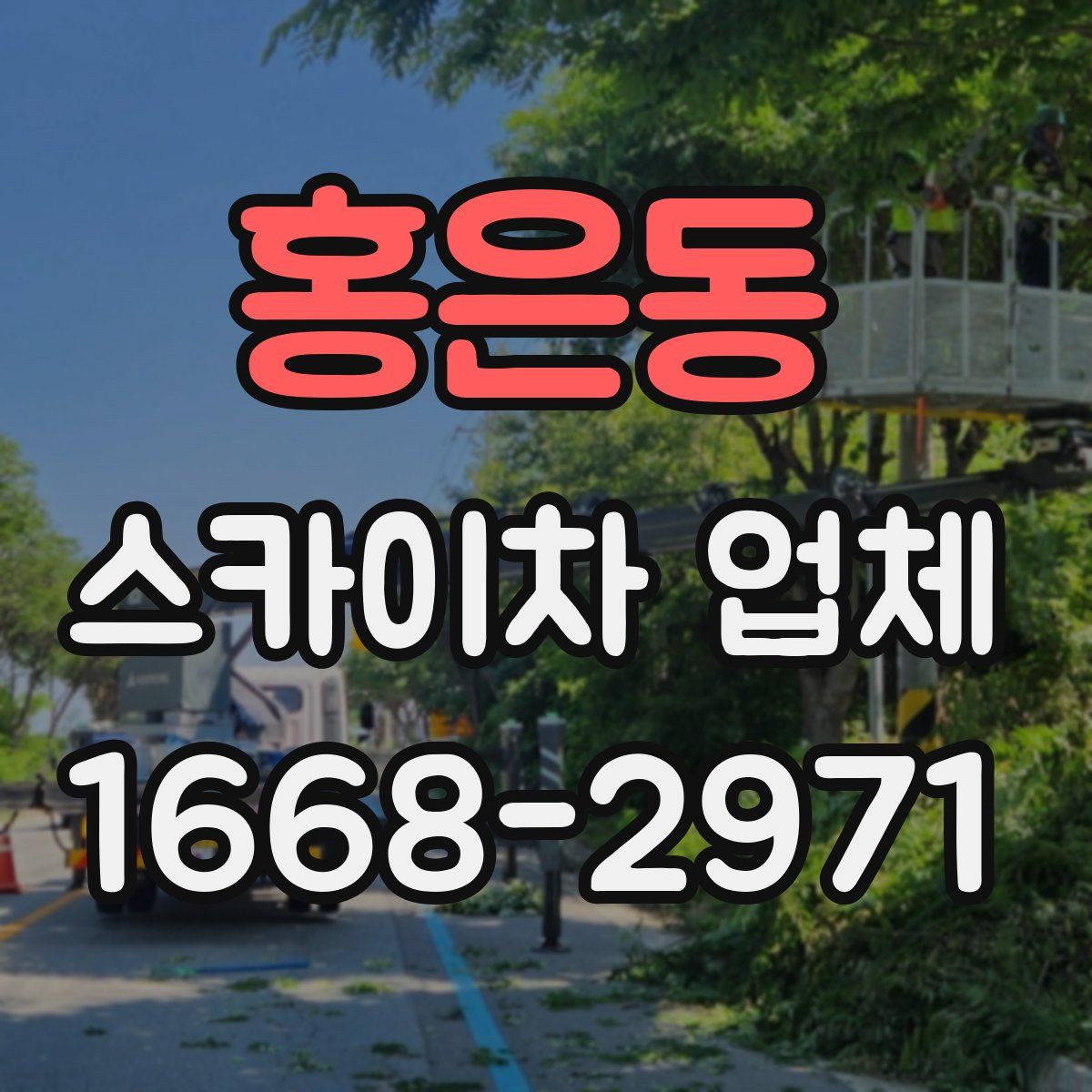 홍은동 스카이차 업체