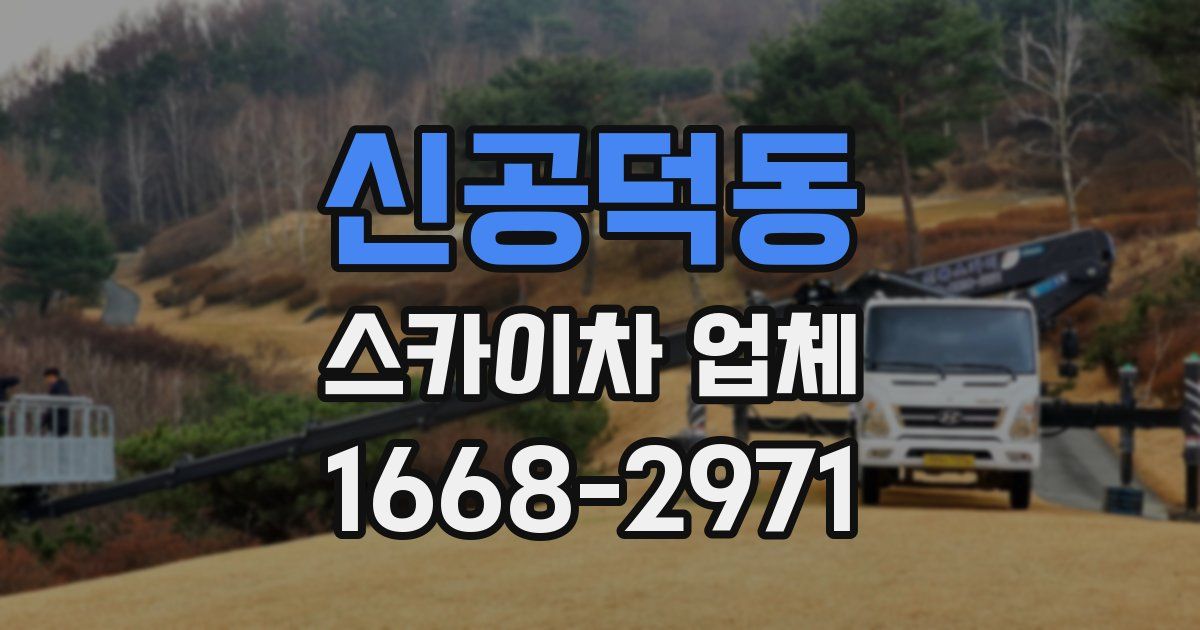 신공덕동 스카이차 업체