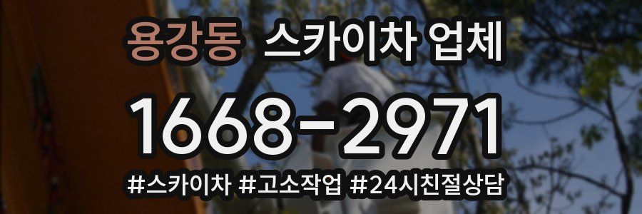 용강동 스카이차 업체