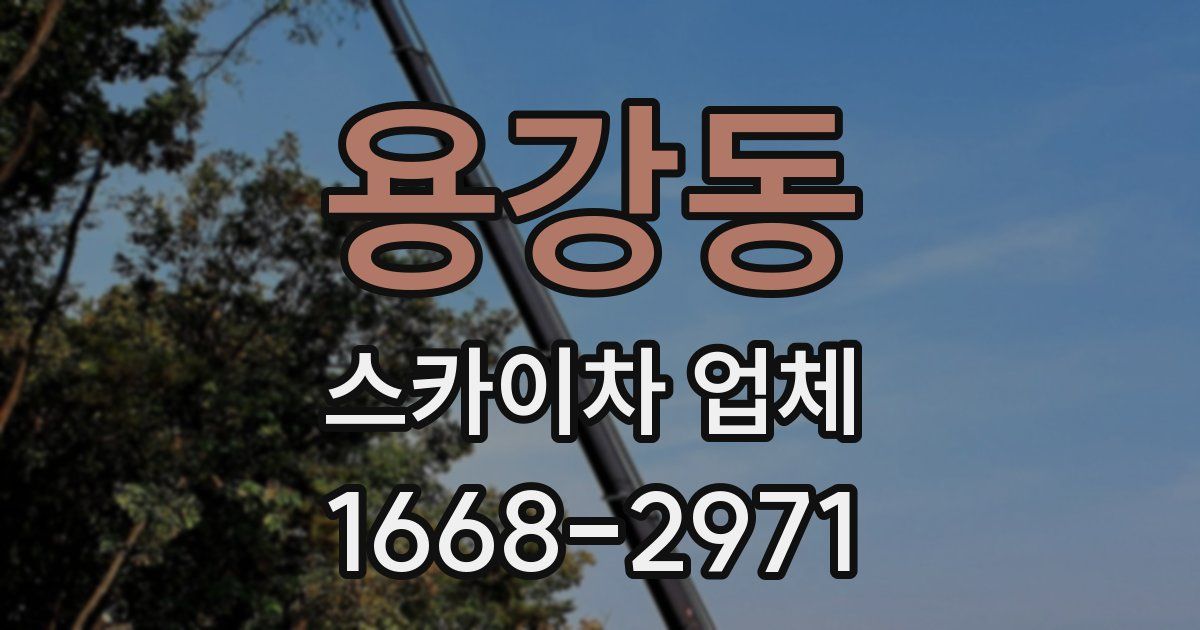 용강동 스카이차 업체