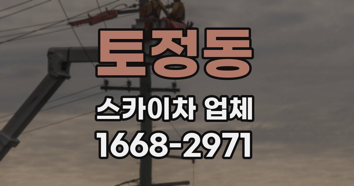토정동 스카이차 업체