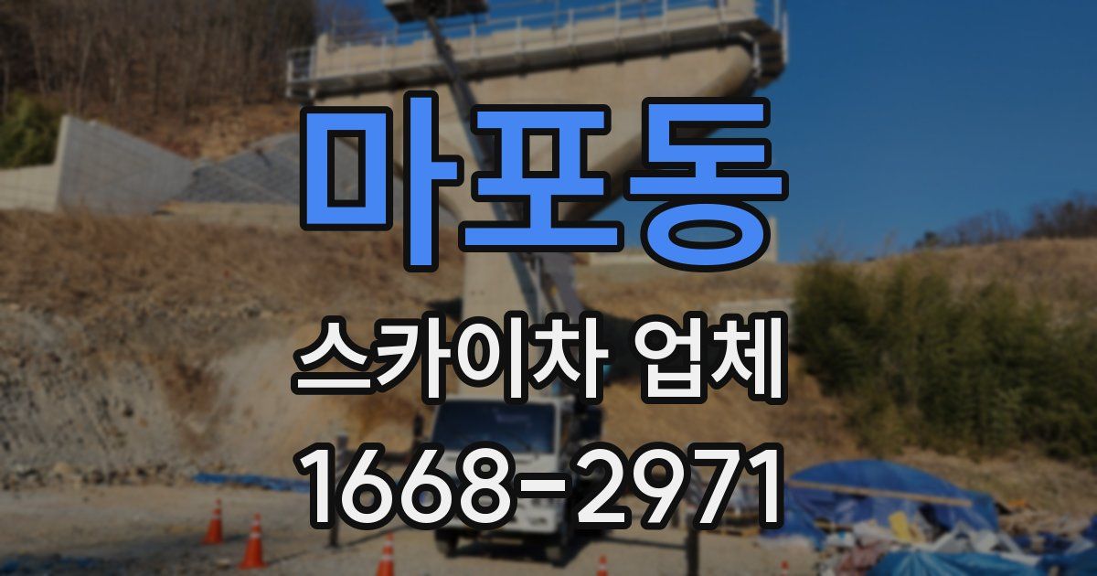 마포동 스카이차 업체