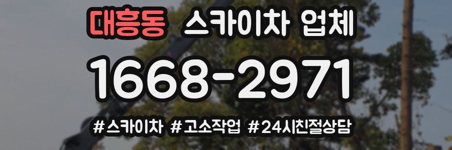 대흥동 스카이차 업체