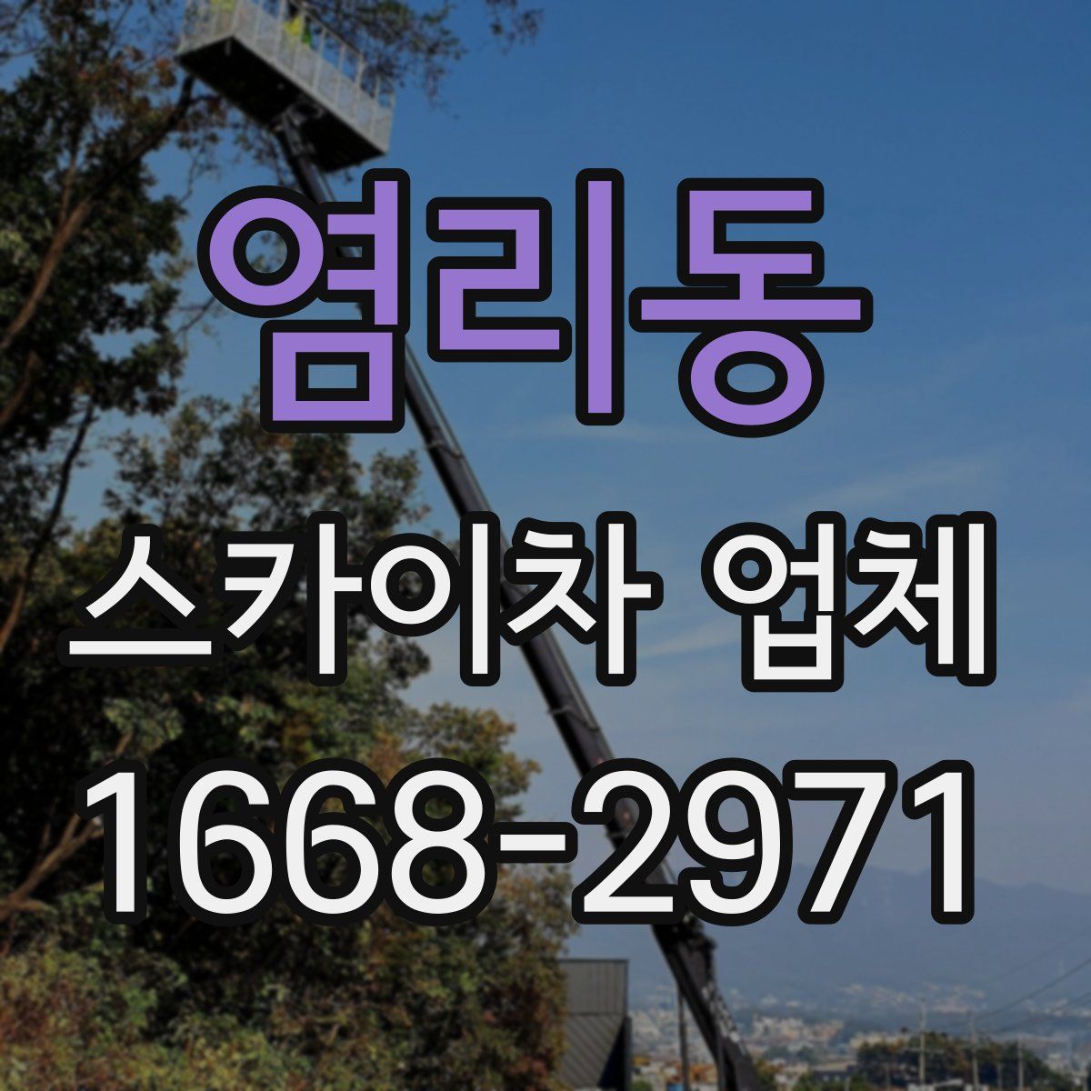 염리동 스카이차 업체