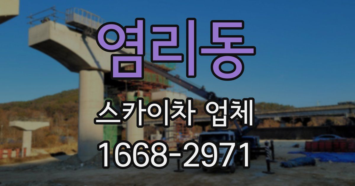 염리동 스카이차 업체