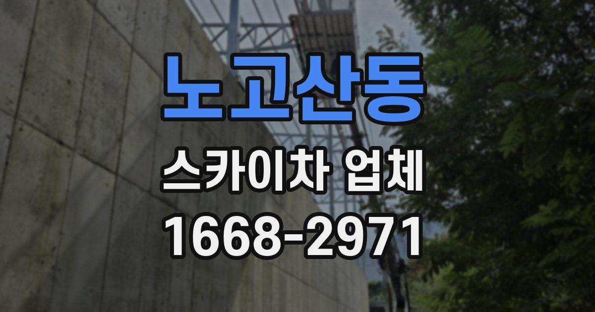 노고산동 스카이차 업체