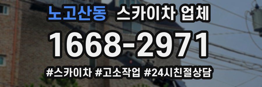 노고산동 스카이차 업체