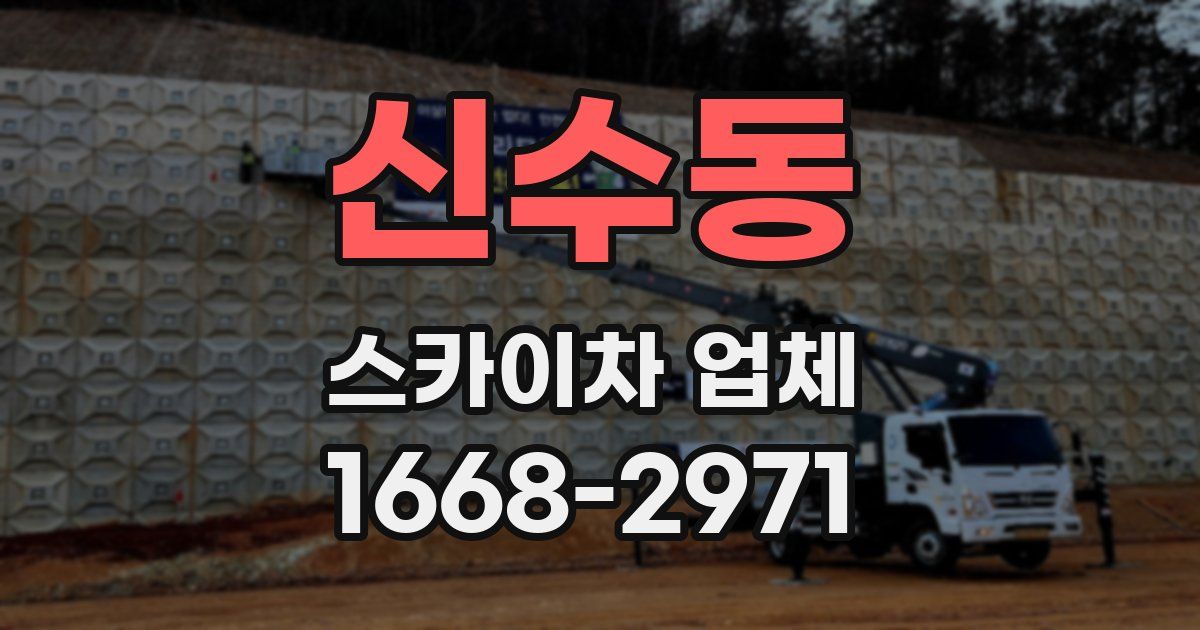 신수동 스카이차 업체