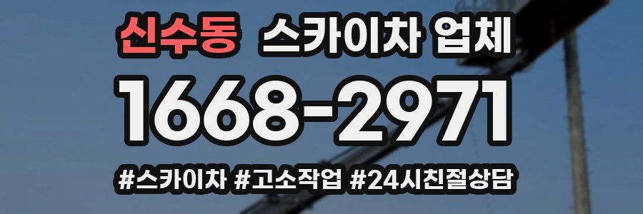 신수동 스카이차 업체