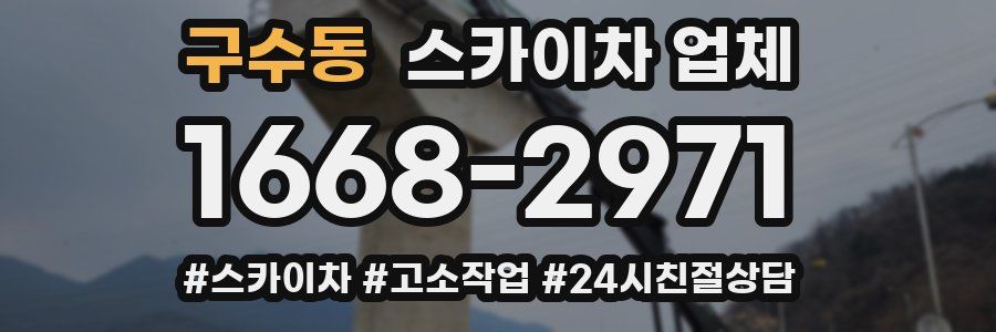 구수동 스카이차 업체