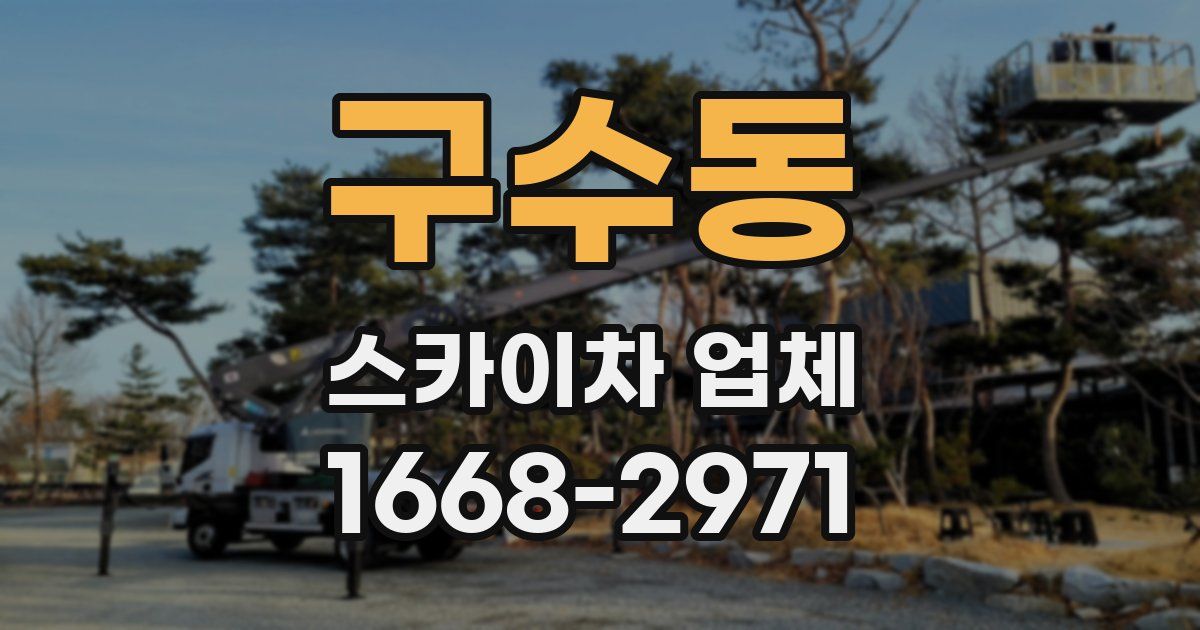 구수동 스카이차 업체
