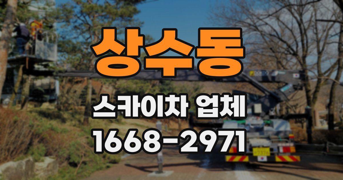 상수동 스카이차 업체