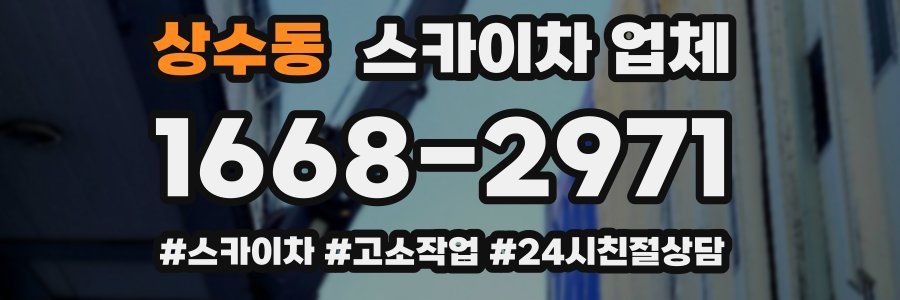 상수동 스카이차 업체